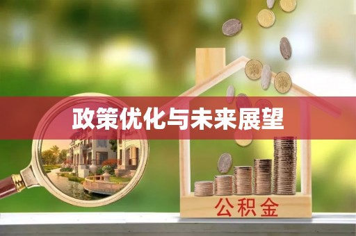 莒南政策优化与未来展望