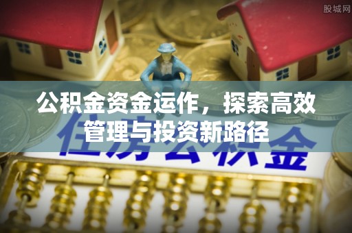 莒南公积金资金运作，探索高效管理与投资新路径